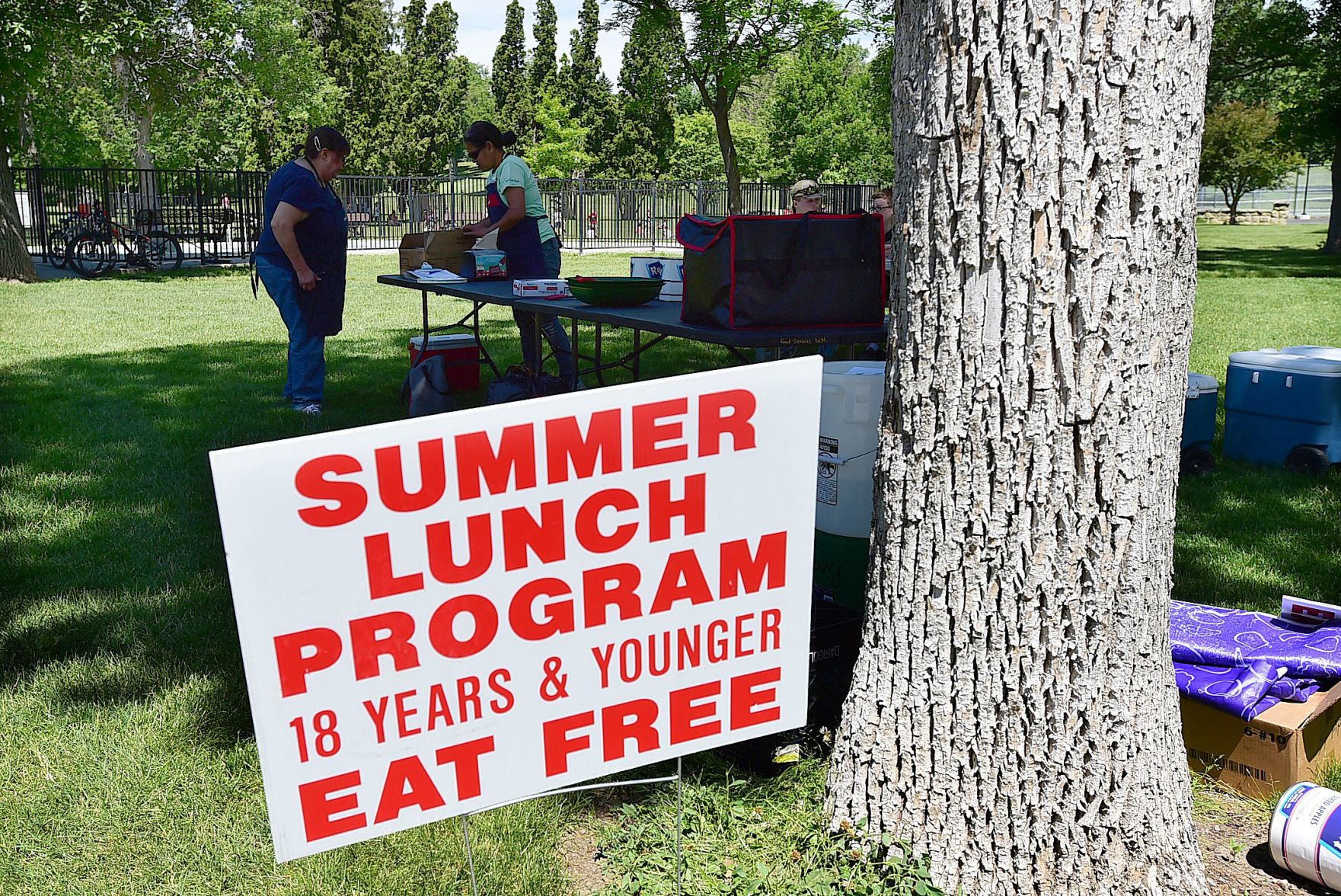 Summer lunch